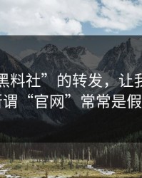 一条“黑料社”的转发，让我明白了所谓“官网”常常是假冒