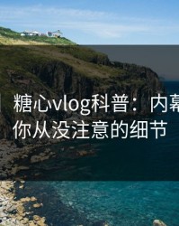 【爆料】糖心vlog科普：内幕背后7个你从没注意的细节