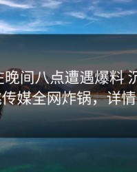 神秘人在晚间八点遭遇爆料 沉沦其中，蜜桃传媒全网炸锅，详情深扒