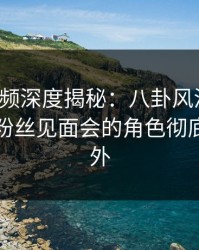 樱桃视频深度揭秘：八卦风波背后，网红在粉丝见面会的角色彻底令人意外