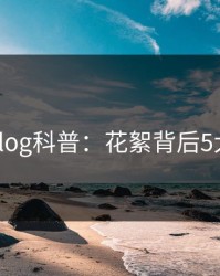 糖心vlog科普：花絮背后5大爆点