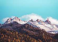 蘑菇影视在线观看盘点：mogushipin9个隐藏信号，大V上榜理由异常令人争议四起